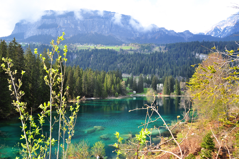 Blick über den Crestasee mit dem Flimserstein (Pinut) im Hintergrund.