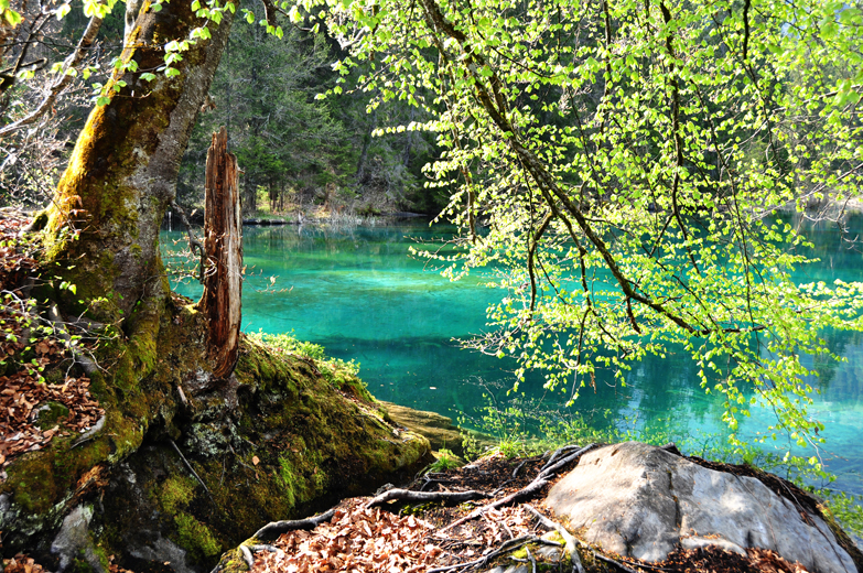 Crestasee im Frühling