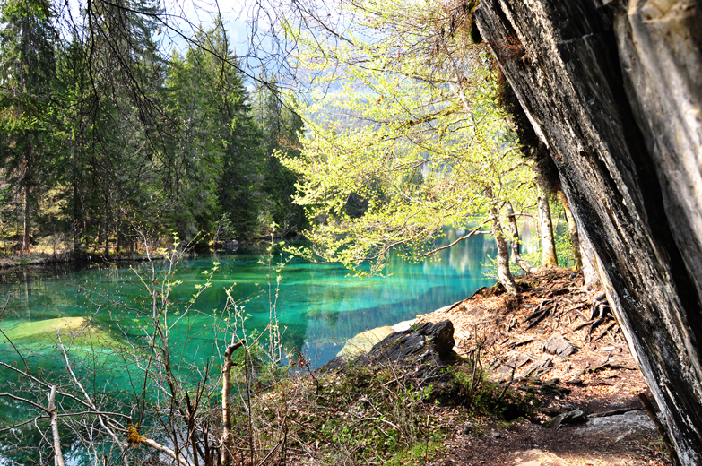 Crestasee