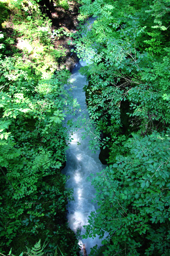 Blick von der Brücke bei der Felsbachschlucht