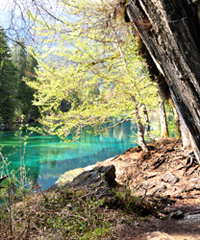 Crestasee zwischen Flims und Trin